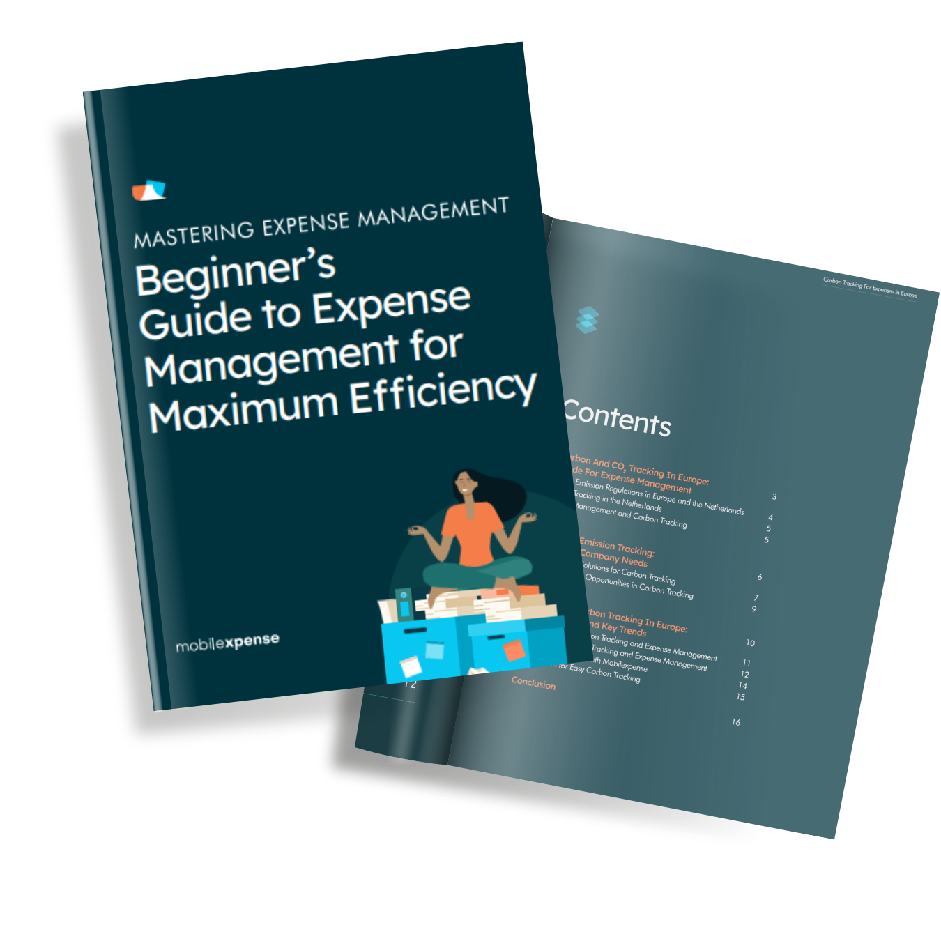 E-book CTA - Beginners guide to expense management for maximum efficiency
