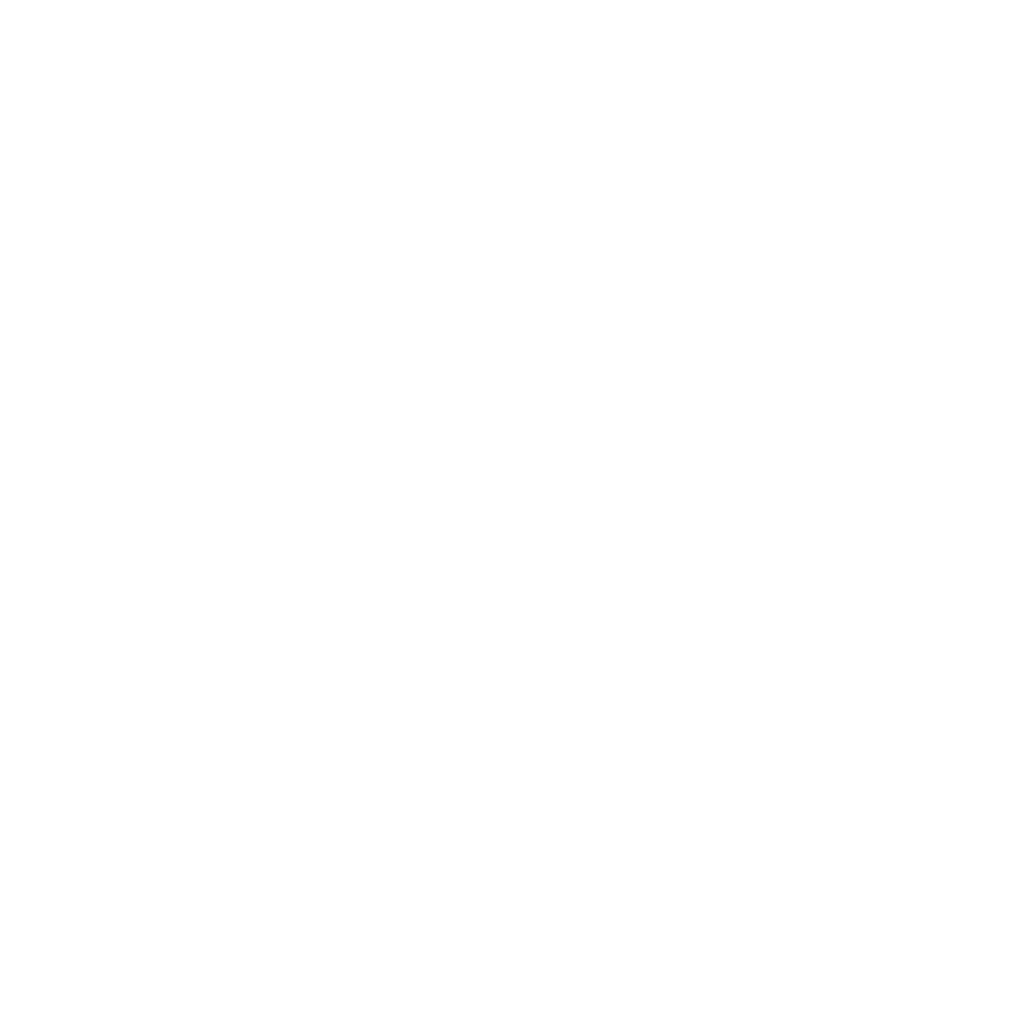 Polymath logo white
